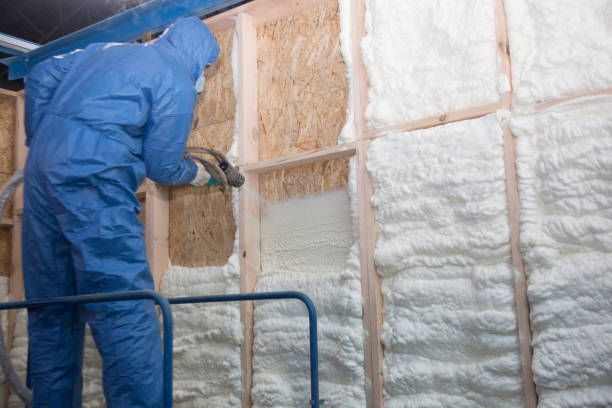 Trusted Copperopolis, CA Insulation Services Experts